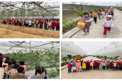 TRẢI NGHIỆM VƯỜN RAU SẠCH – HÀNH TRÌNH KHÁM PHÁ NÔNG NGHIỆP CÔNG NGHỆ CAO CỦA CÁC BÉ TRƯỜNG MẦM NON KHÁNH THÀNH